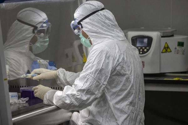 Ministerio de Salud anuncia que extenderá realización de test de coronavirus