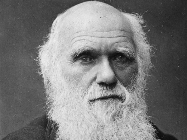 Científica logra demostrar una de las teorías evolutivas de Darwin