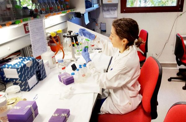 Desafío para investigadores paraguayos es hacer tapabocas y crear o reparar respiradores - Nacionales - ABC Color