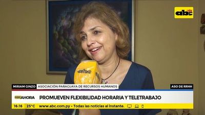 Promueven flexibilidad horaria y teletrabajo - ABC Noticias - ABC Color