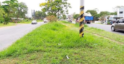 Comuna de Luque bajó la guardia en lucha contra el dengue, denuncian - Interior - ABC Color