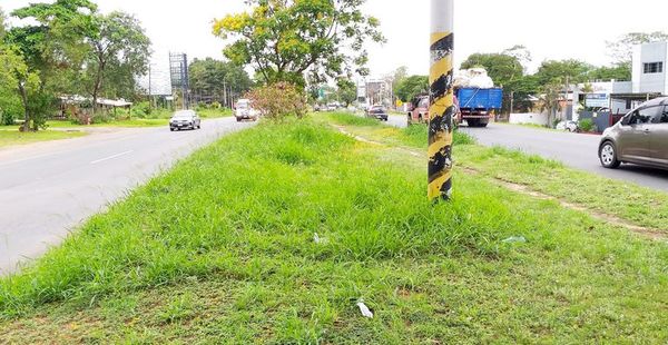 Comuna de Luque bajó la guardia en lucha contra el dengue, denuncian - Interior - ABC Color