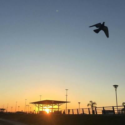Viernes fresco a cálido y soleado, anuncia Meteorología