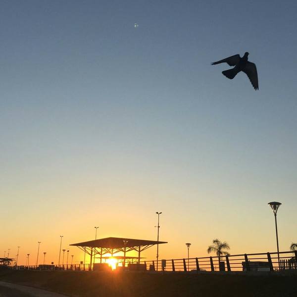 Viernes fresco a cálido y soleado, anuncia Meteorología