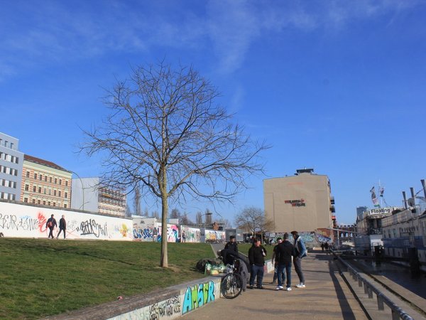 Covid-19 frustra intercambios y estudiantes dudan en retornar o no