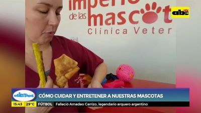 Como cuidar y entretener a nuestras mascotas - Ensiestados - ABC Color