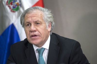 Luis Almagro fue reelecto como secretario general de la OEA