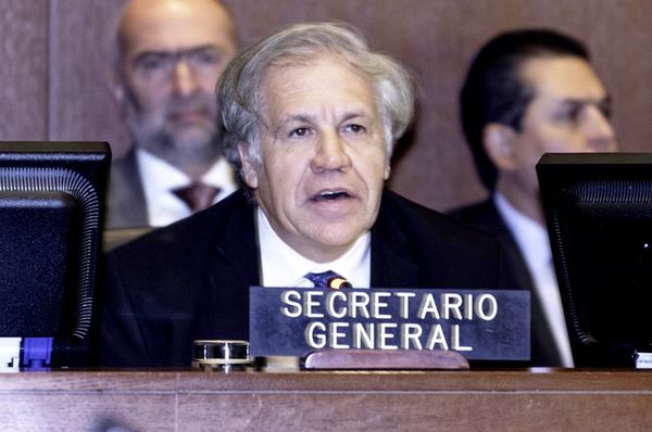 El uruguayo Luis Almagro,  reelegido como secretario general de la OEA - Internacionales - ABC Color