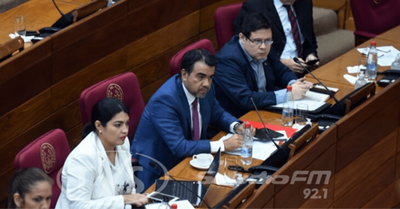 Ley de contingencia demandaría una deuda de hasta USD 2.000 millones