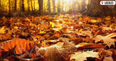 21 de marzo: Llegó el Otoño