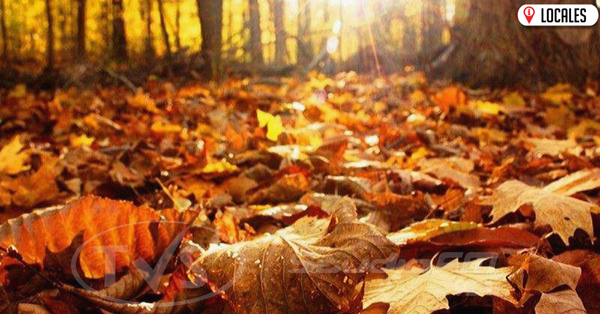 21 de marzo: Llegó el Otoño