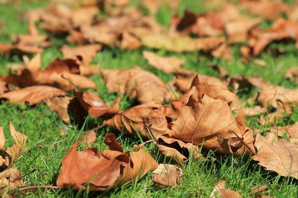 El verano se despide y amaneceres frescos anuncian el inicio del otoño