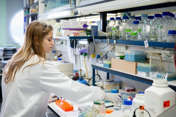 Infectólogos instan a recurrir a la academia para mayor repidez en pruebas del Covid-19 - Paraguay Informa