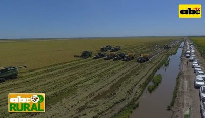 Programa 18: Arrozales del Chaco - ABC Rural - ABC Color