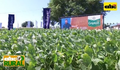 Programa 18: Variedades de soja de alta productividad - ABC Rural - ABC Color