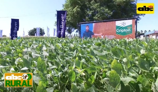 Programa 18: Variedades de soja de alta productividad - ABC Rural - ABC Color