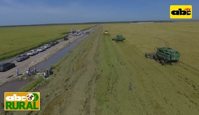 Programa 18: GPSA Agropecuaria - ABC Rural - ABC Color