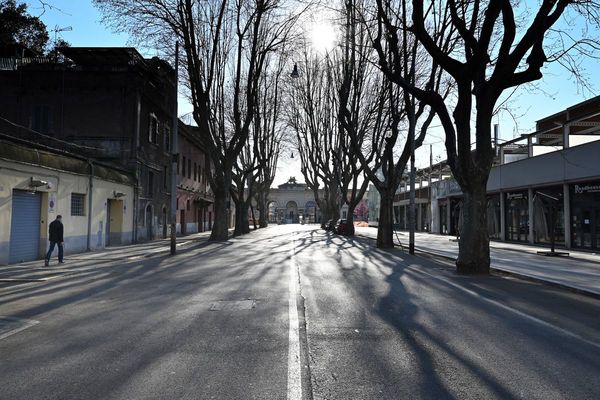 Crisis del coronavirus, oportunidad para el sector tecnológico y de servicios