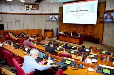 En plena crisis, Senado debate crear más municipios y asentamientos - Política - ABC Color