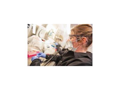 Se inicia ensayo con cuatro tratamientos para el coronavirus