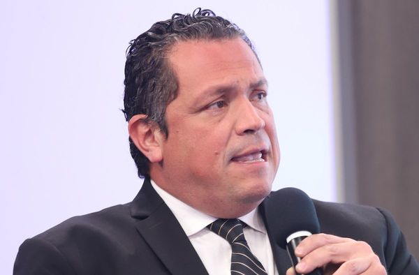 Plantean asistir a abogados independientes con créditos del BNF