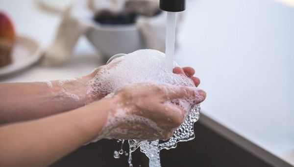 Estas empresas del rubro domisanitario aseguran funcionar aún con capacidad ociosa