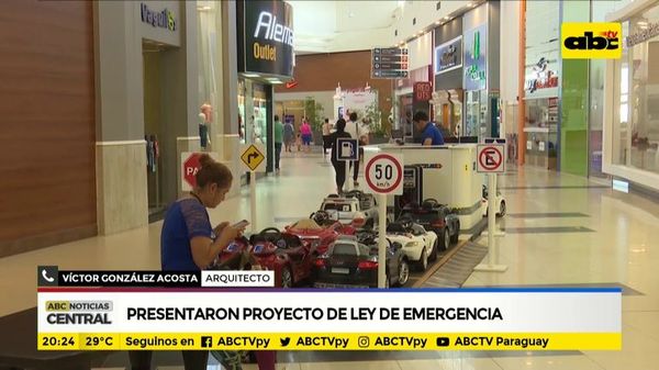 Presentaron ley de emergencia: ¿Cómo proteger los empleos? - ABC Noticias - ABC Color