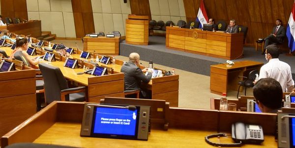 Diputados coinciden en suspender los comicios, pero no definen nueva fecha - Política - ABC Color