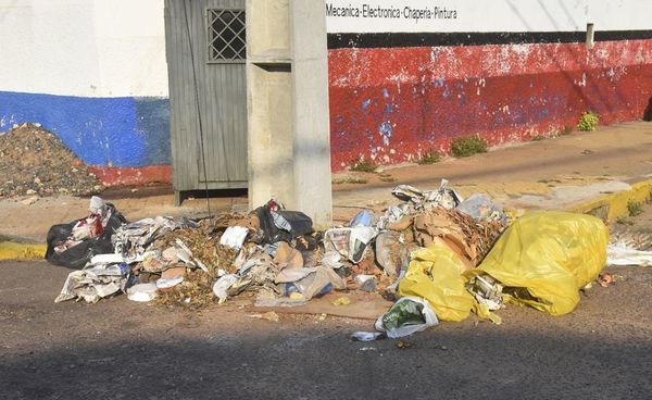 No quieren basura de jardín - Locales - ABC Color