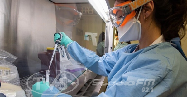 Salud reconoce subregistro de casos de Covid-19: positivos alcanzarían 270
