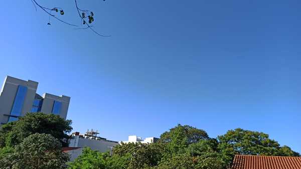 Jornada agradable para hoy martes