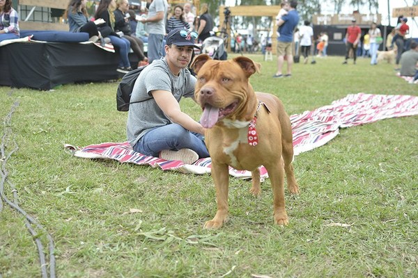 Infectados con Covid-19 no deben tener contactos ni con las mascotas, advierten - ADN Paraguayo