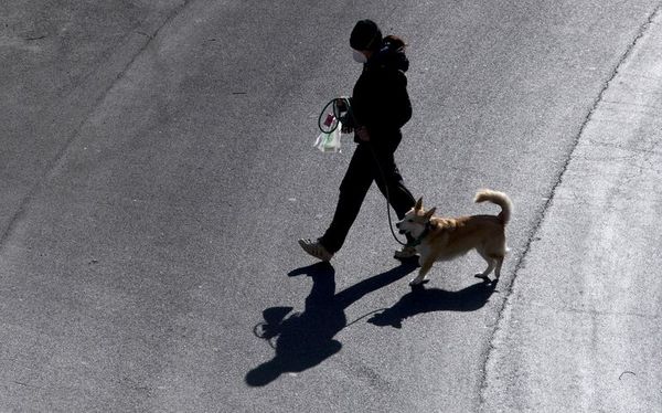 Autoridades italianas instan a no ilusionarse por reducción de contagios - Mundo - ABC Color