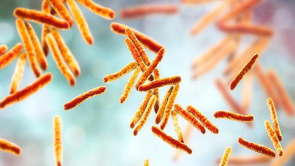 24 de marzo: “Día Mundial de la Tuberculosis” » Ñanduti