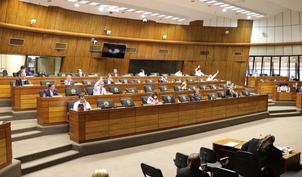 Senadores analizan medidas de la Ley de emergencia - Paraguay Informa