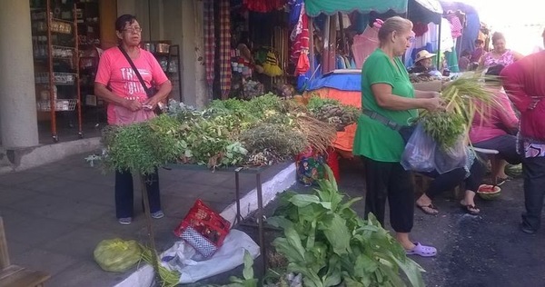 Quiénes pueden acceder al kit alimentario