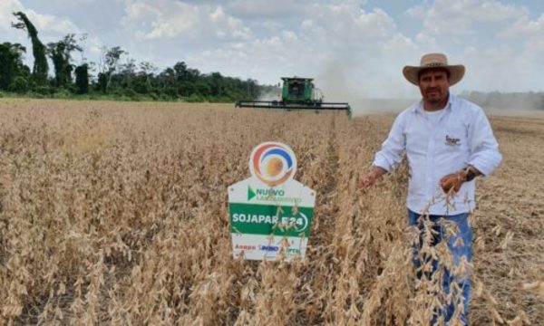 » Variedades de soja paraguaya se destacan en Bolivia
