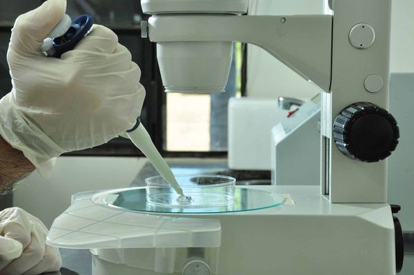 UNA procesará hasta 40 análisis de coronavirus al día