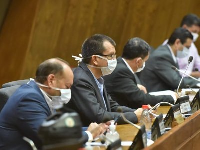 Coronavirus: Ley de emergencia, con media sanción en el Senado