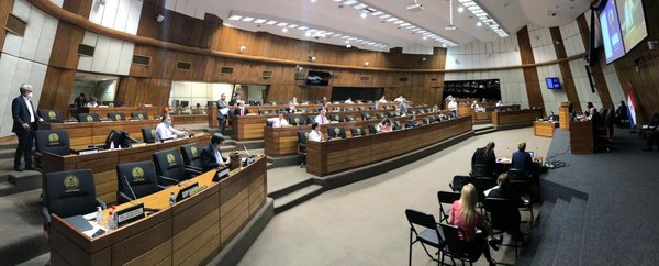 Senadores aprueban con modificaciones proyecto de Emergencia Nacional » Ñanduti