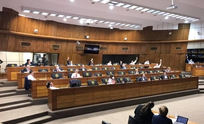HOY / Ley de Emergencia: Senado aprueba proyecto con modificaciones