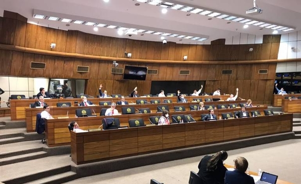 HOY / Ley de Emergencia: Senado aprueba proyecto con modificaciones