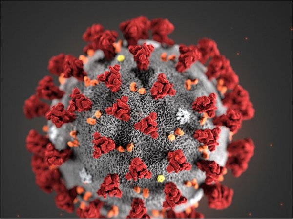 Ministerio de Salud registra 2 casos de menores de edad con coronavirus