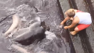 Como si fuera mascota tocó a bicho de mar | Crónica