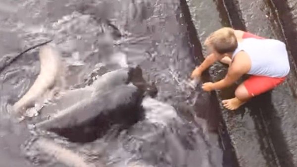 Como si fuera mascota tocó a bicho de mar | Crónica