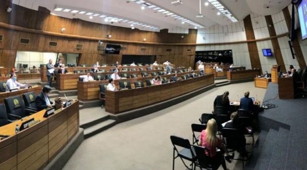 Senado aprueba Ley de Emergencia: incluyen exoneración en pago de la ANDE