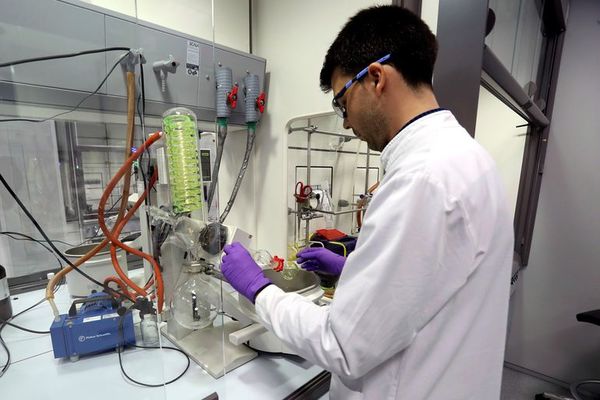 Piden a ciudadanía dejar de comprar hidroxicloroquina y garantizan su distribución gratuita para casos de COVID-19 - Nacionales - ABC Color