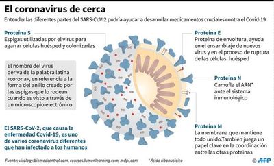 El diagnóstico masivo del coronavirus, ¿una política realista? - Ciencia - ABC Color