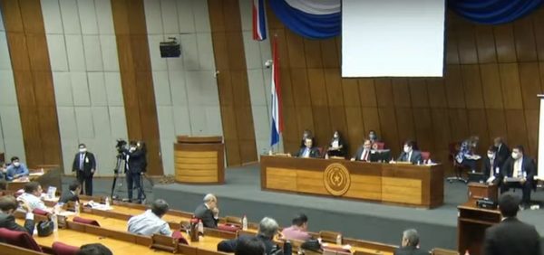 Seguí en vivo el debate de la Ley de Emergencia Sanitaria en Diputados | Noticias Paraguay
