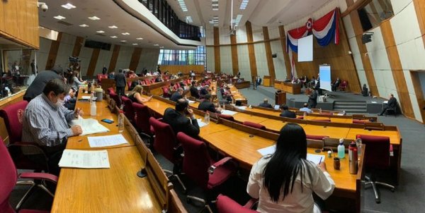 Diputados aprueba realizar sesiones virtuales